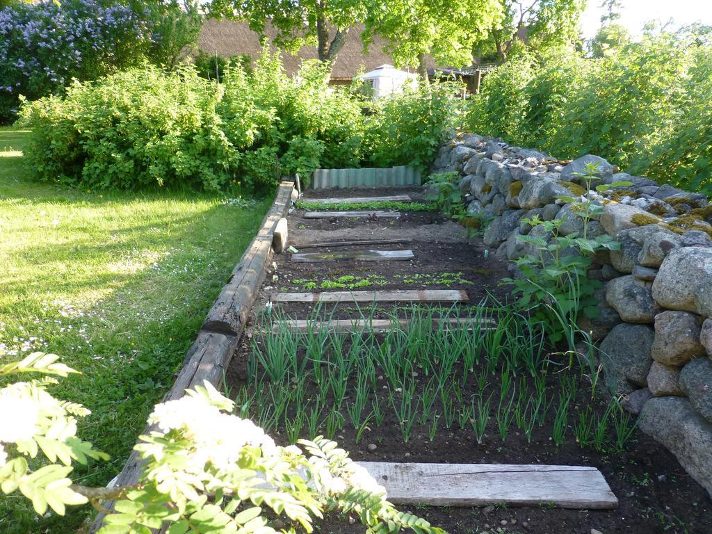 Jurna Recreation Farm Βίλα Upa Εξωτερικό φωτογραφία